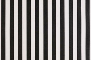 black-white-stripe-outdoor-fabric-agora-lines-negro-20269-160cm.jpg