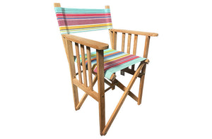 directors-chair-paragliding-stripe.jpg