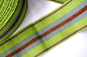 lime-green-stripe-webbing-frisbee-stripe.jpg