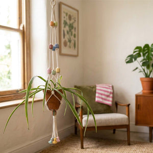 A hanging macrame plant hanger with colourful pastel cotton covered beads holding a terracotta pot with a green spider plant in