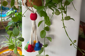 macrame-plant-pot-hanger-multicolour-tassels.jpg