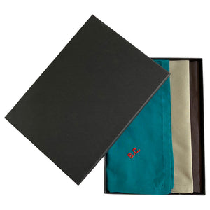 mens coloured handkerchief set
