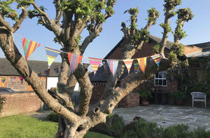 stripey-bunting.jpg