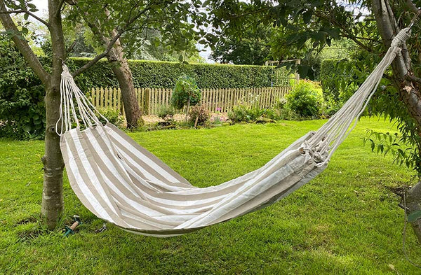 beige-white-striped-hammock-archery-stripe.jpg