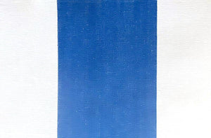 blue-white-striped-fabric-vclose-up-bungee-blue.jpg