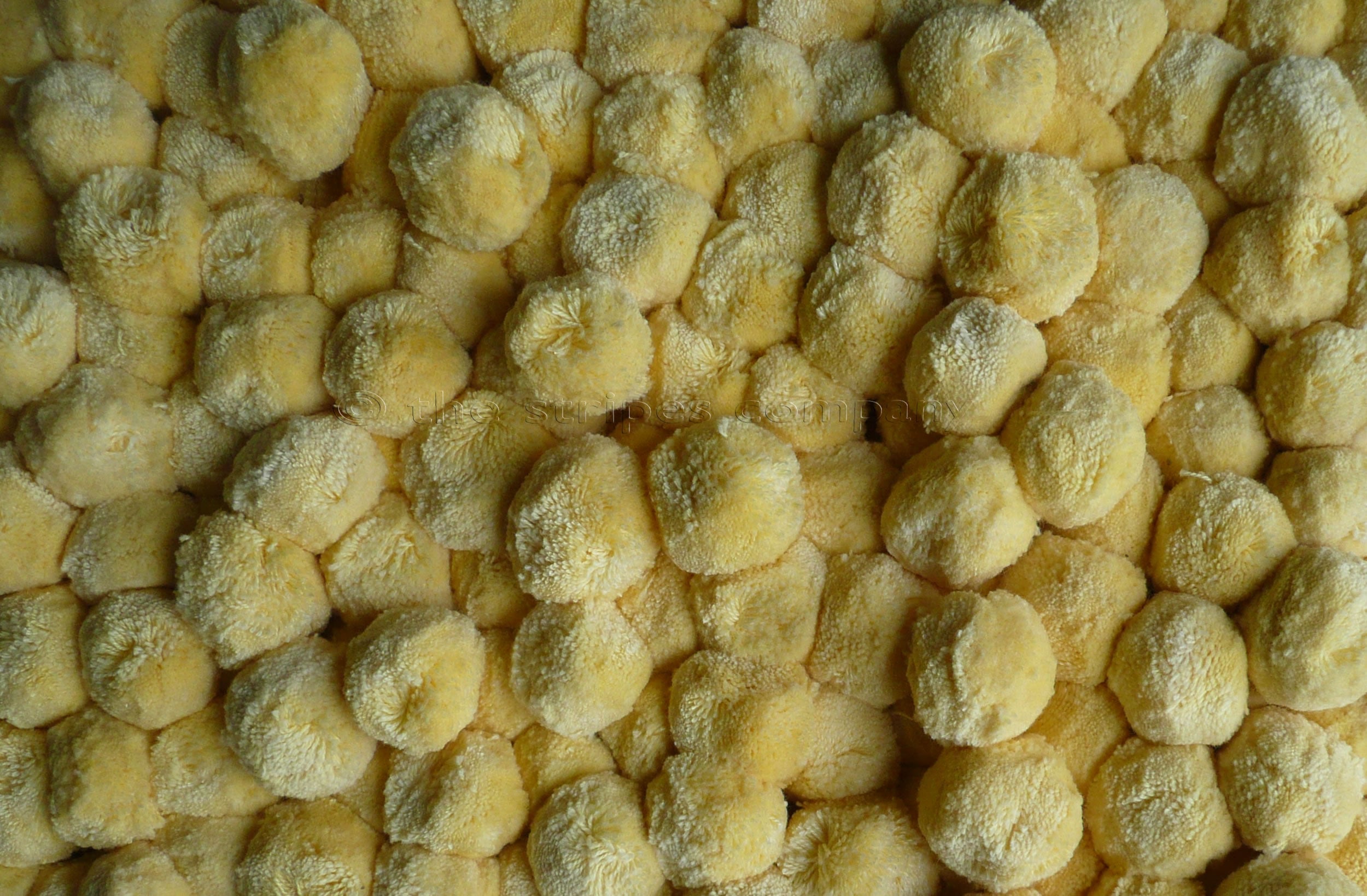 bobble-fringe-large-pale-yellow.jpg