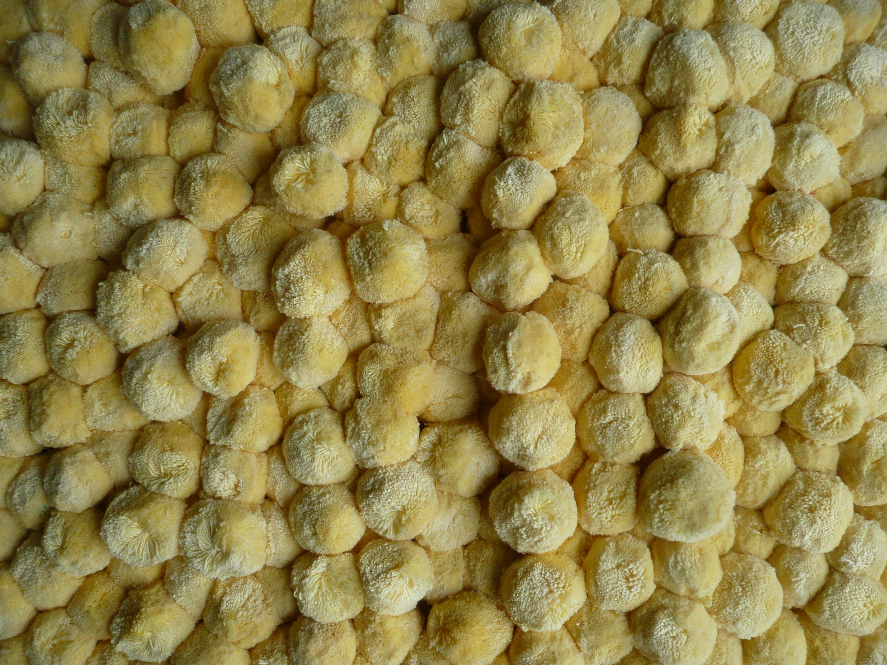 bobble-fringe-large_lemon.jpg