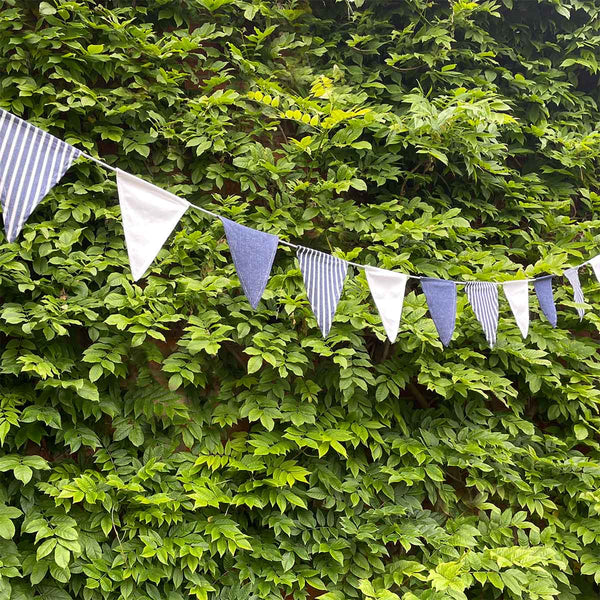 Cotton Bunting