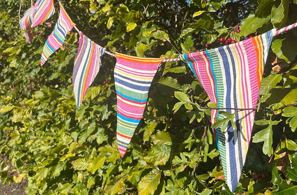 Cotton Bunting