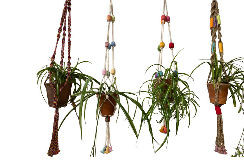 colourful-plant-pot-holders.jpg
