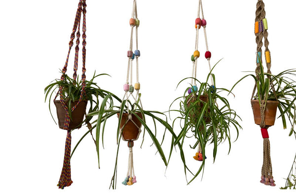 colourful-plant-pot-holders.jpg