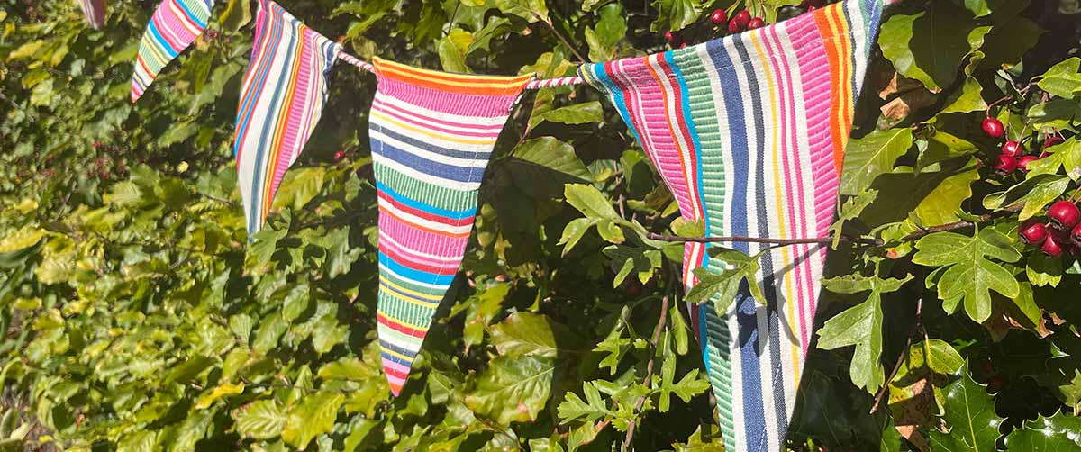Cotton Bunting