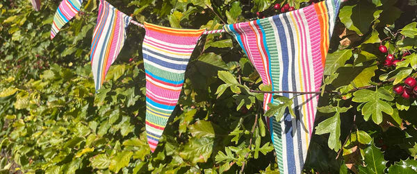 Cotton Bunting