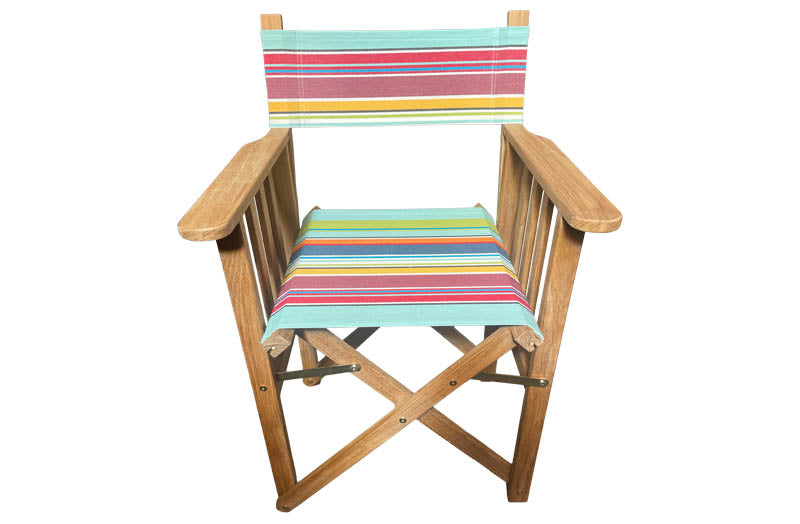 directors-chair-paragliding-stripe-front.jpg