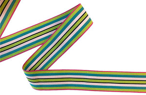 grosgrain-ribbon-descant-stripe-closeup.jpg