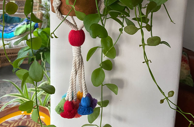 macrame-plant-pot-hanger-multicolour-tassels.jpg