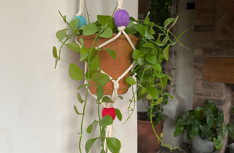macrame-plant-pot-hanger-with-bobbles.jpg