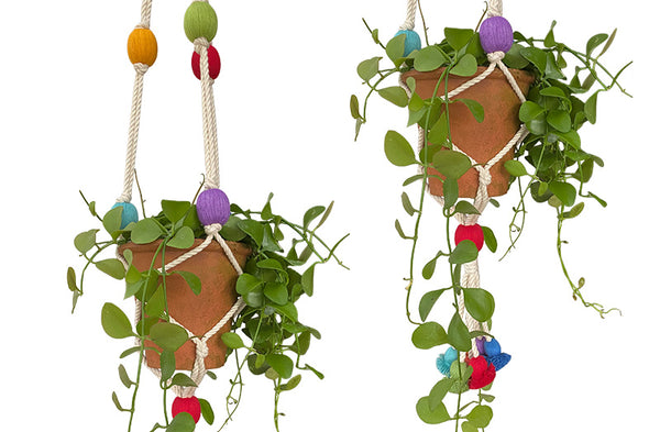 multi-colour-plantpot-hangers.jpg