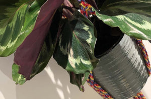 multi-stripe-plant-pot-holder-bottom-ls.jpg