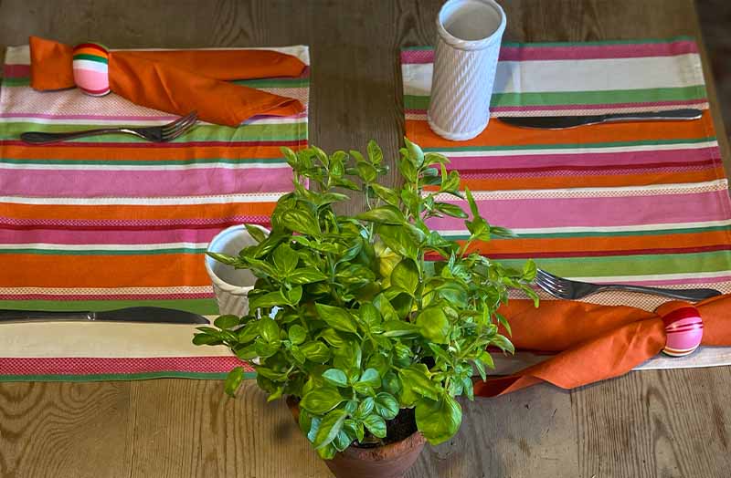 orange-napkins-orange-cream-pink-green-placemat-polka-stripe-ls.jpg