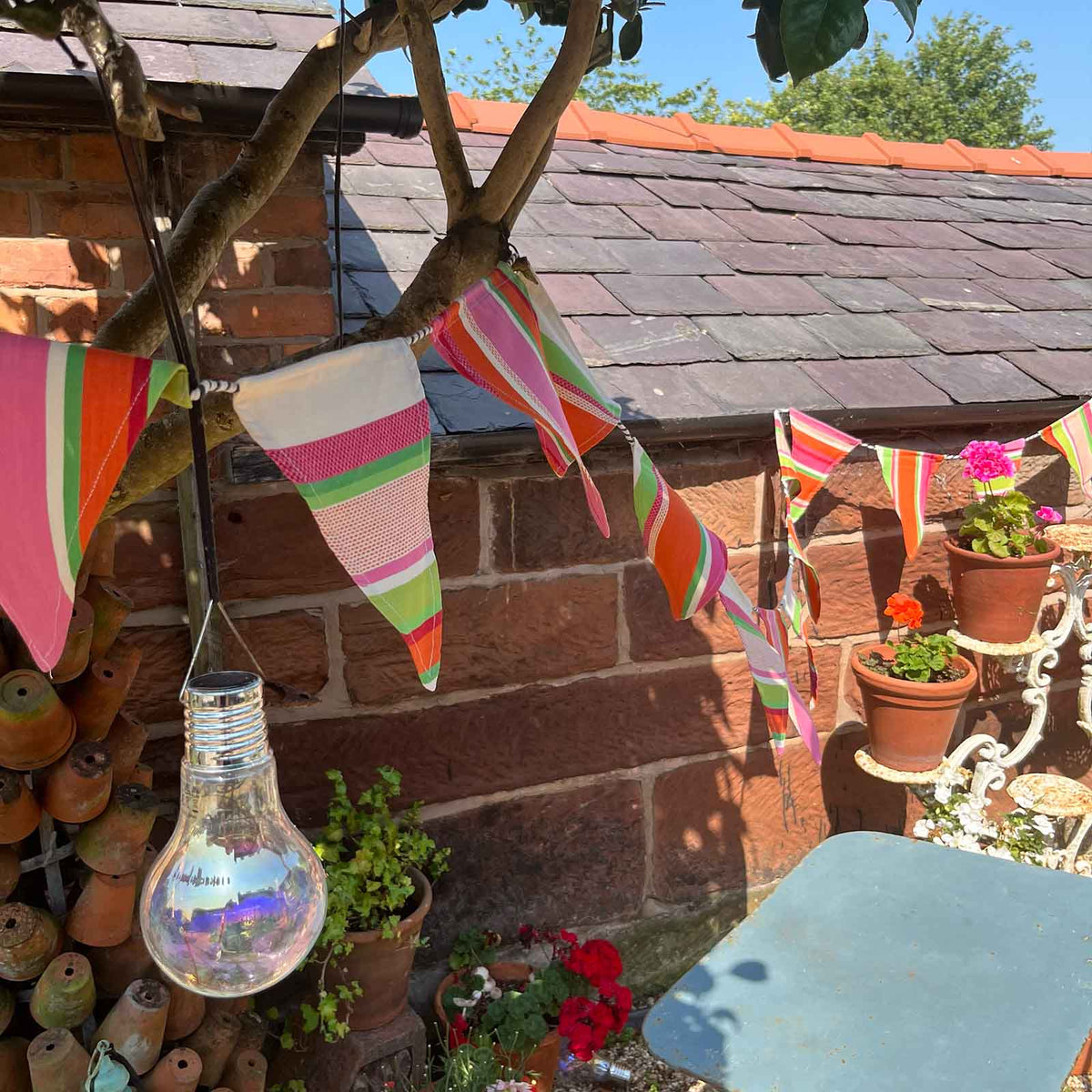Cotton Bunting