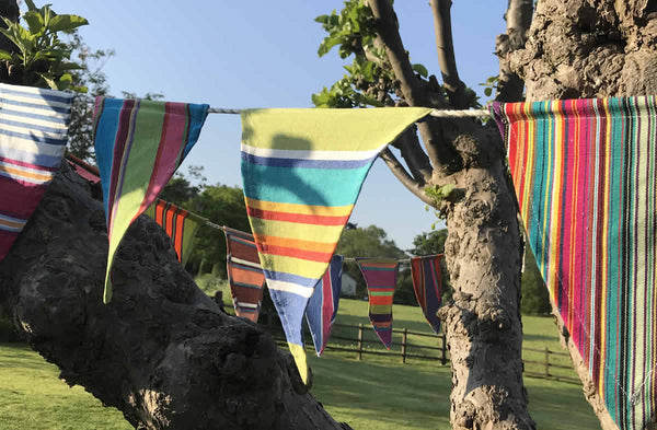 Cotton Bunting