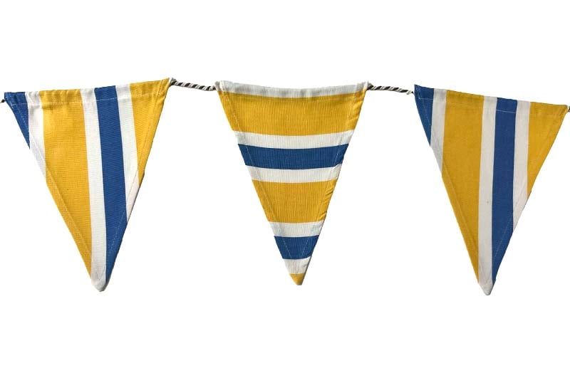 Cotton Bunting