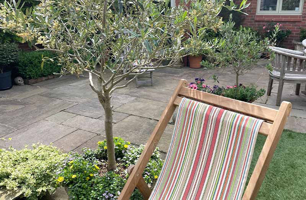 teak-deckchair-vintage-slamball-stripe-ls-top.jpg