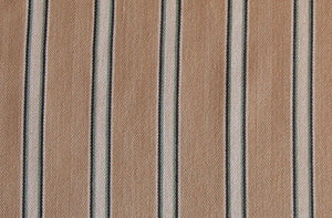 ticking-beige-blue-stripe-close.jpg