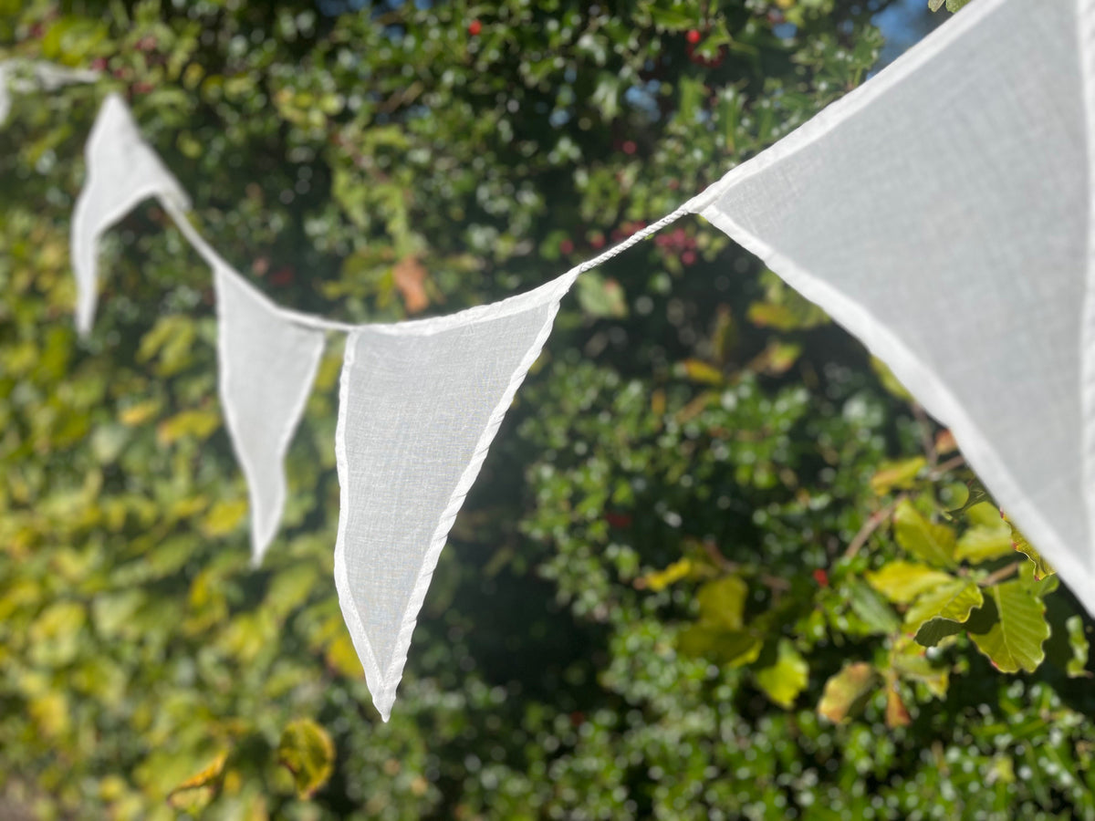 Cotton Bunting