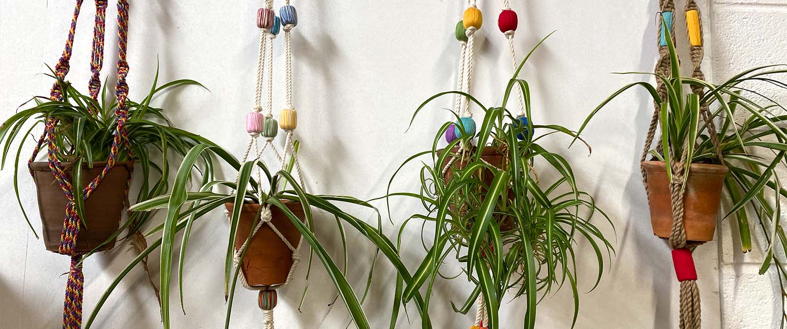 Macrame Plant Pot Hangers