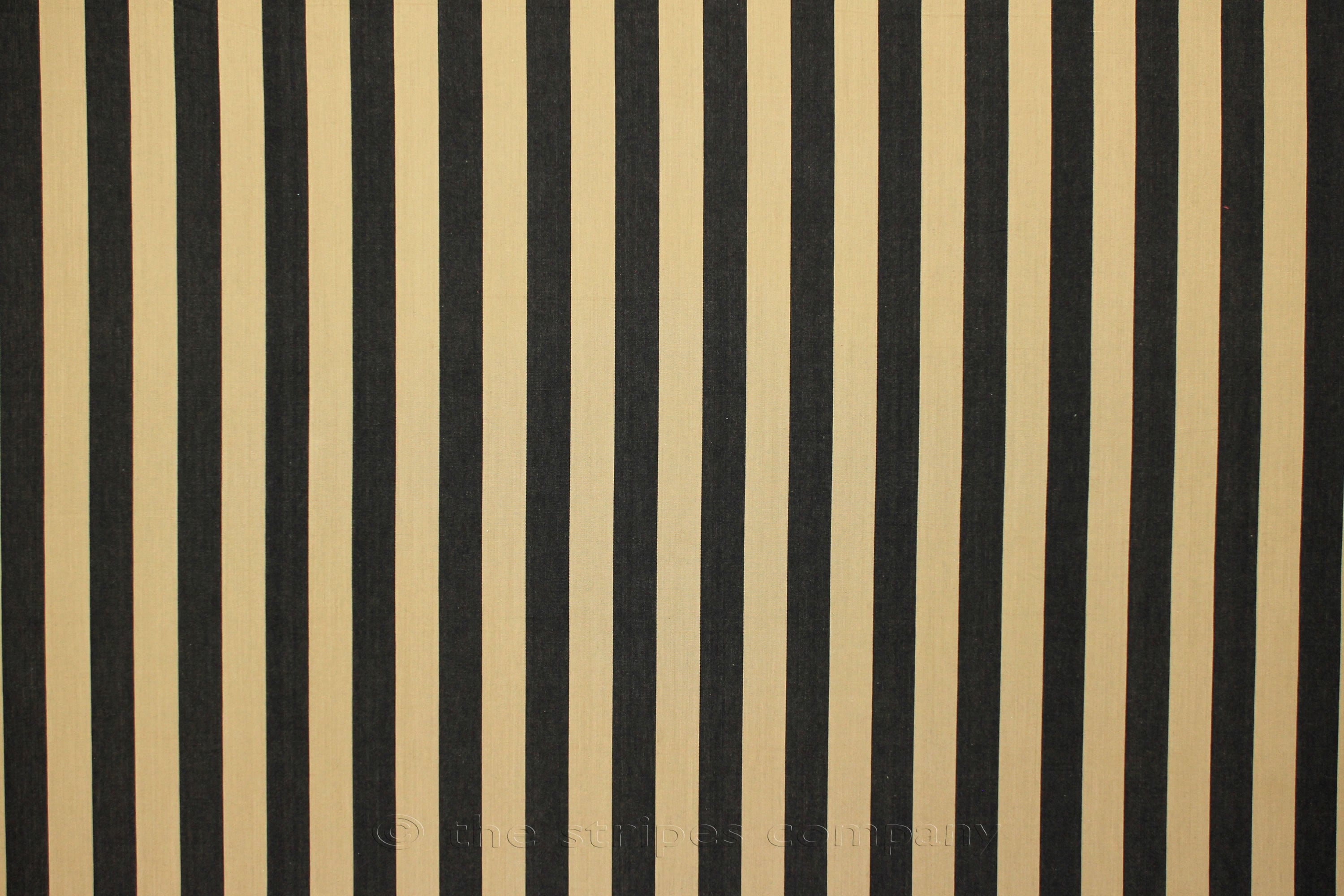 Baton Black and Beige Striped Fabrics The Stripes Company UK